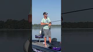 Still Catching those Reelfoot Lake crappie fishing LakeLife Tennessee reelfoot outdoor [upl. by Foy455]