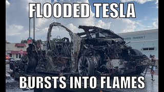 Flooded Tesla Bursts Into Flames While Being Towed [upl. by Aicetel843]