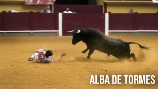 Alba de Tormes 2024 Concurso con Toros Bravos [upl. by Frantz784]