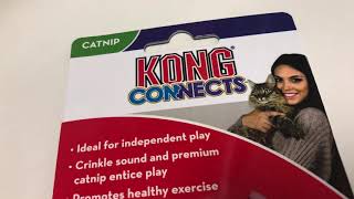 CAT TOY REVIEW KONG CONNECTS CAT WINDOW TEASER [upl. by Alacim258]