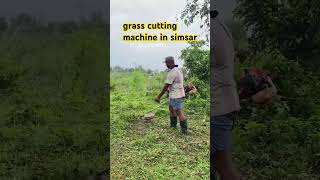 Grass cutting in simsar nepal [upl. by Ariam]