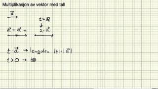 Matematikk R2 Multiplikasjon av tall og vektor [upl. by Pax]