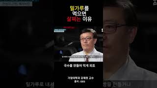 밀가루를 먹으면 살찌는 이유 가정의학과 강재헌교수 건강정보 건강 [upl. by Yelah]