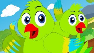 Main Tota Hare Rang Ka मैं तोता मैं तोता shorts hindirhymes talkingparrot birdssong shortvideo [upl. by Ardnaxila]