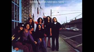 Lynyrd Skynyrd  Free Bird Piano Track [upl. by Drislane587]