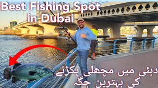 Al Maktoum Bridge Fishing  Best Fishing place in Dubai  مچھلی پکڑنا اب بہت آسان ہے۔ [upl. by Enyahc]