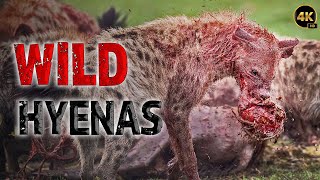 Africas TOP Hunters HYENA The BoneCrushing Kings  Full Wildlife Documentary [upl. by Nnael]