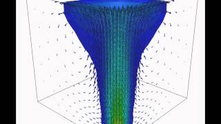 Transient Heat Transfer with Buoyancy Caedium CFD Simulation [upl. by Ragg]