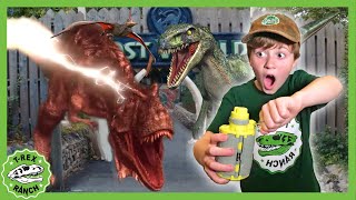 Find the Dino Eggs amp Floor is Lava  TRex Ranch Dinosaur Videos [upl. by Dymphia]