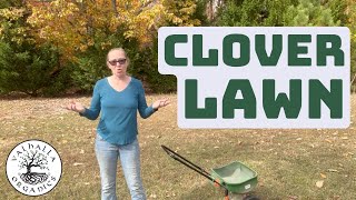 Overseeding Lawn with Clover [upl. by Corotto]