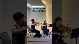 Liszt Hungarian Rhapsody No2 [upl. by Ahsrop]