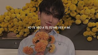 quotDarlingquot  Seventeen Sub español [upl. by Sion]