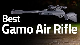 10 Best Gamo Air Rifle 2023 For Hunting [upl. by Shushan]