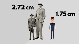 Height COMPARISON Tallest people in the WORLD [upl. by Latricia]