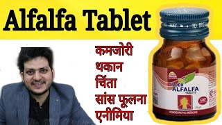 Powerful Alfalfa Tablet for Weakness anaemia nerve weakness anxiety insomnia fatigue [upl. by Aneej507]