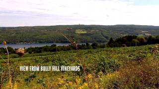 Hammondsport New York is Americas Coolest Small Town Finger Lakes Wine Country [upl. by Eelsew]