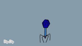 t4 bacteriophage animation [upl. by Leamse]