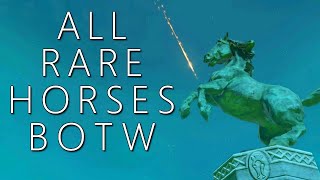 All Rare Horses amp Where to Find Them BOTW [upl. by Cirtap]