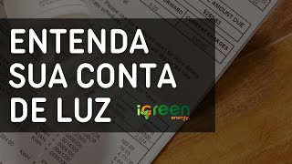 ENTENDA SUA CONTA DE LUZ  Jimmy Fenner  iGreen Energy [upl. by Crissy422]