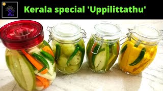 Kerala special Uppilittathu  Vegetables and fruits soaked in brine  Recipe in tamil [upl. by Ri]