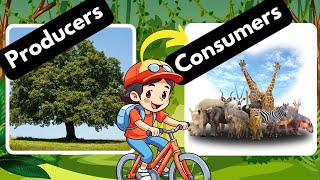 Producers and Consumers Herbivores Carnivores and Omnivores [upl. by Ruenhs]