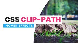 CSS Clip Path Hover Circle Hover Effects  Html CSS [upl. by Menashem629]