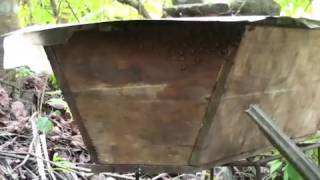 An Arrey Ivo video on Bee Keeping Agroforestry and climate change [upl. by Ahsinad]