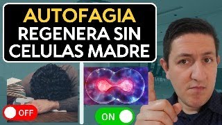 Que es la AUTOFAGIA y Cómo ACTIVARLA por métodos NATURALES Dr Antonio Cota Sugar Care [upl. by Le]