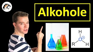 ALKOHOLE – Aufbau amp Eigenschaften  Chemie Tutorial [upl. by Gemina966]