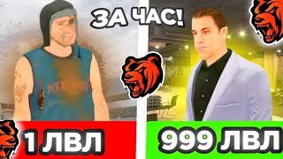 😱 КАК БЫСТРО ПОДНЯТЬ УРОВЕНЬ на БЛЕК РАША 18 LvL ЗА ДЕНЬ  BLACK RUSSIAN [upl. by Irfan871]