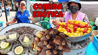 Comida EXOTICA CALLEJERA en Ecuador 🐌🪲🍴  Josue y Elie [upl. by Serle]