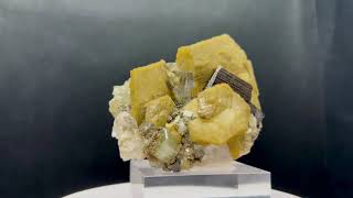 FLUORAPATITE SIDERITE FERBERITE QUARTZ MUSCOVITE 1P240 [upl. by Peta]