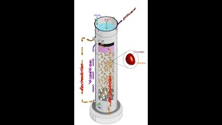 EVER CLEAR Ngyên lý hoạt động Fenton hóa lỏng FBR Fenton [upl. by Ranger346]