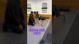 Shoulder Recovery Workout Best PT Exercises for Strength amp Mobility After Injury [upl. by Adnorehs]