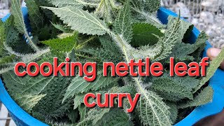 Cooking nettle leaf curry villagelife nettleleaf curry theruralreel [upl. by Godric]