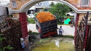 Start Project Dozer D31P amp Truck Good cooperation in filling the flooded area in the village [upl. by Chao957]