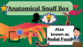 Anatomical Snuff Box Explained Easy IN 2 Minutes  Boundaries and Contents  Upper Limb Anatomy [upl. by Sidoeht573]