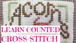 Flosstube 3 Learn Counted CrossStitch 20824 [upl. by Nonah]