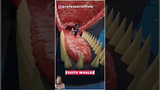 😲What if Whale Swallowed You ALIVE  By Kishor Singh shorts brakingforwhales motivation [upl. by Eramal]