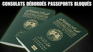 Renouvellement de passeports  les sites de prise de RDV des consulats algériens inopérants [upl. by Nathanil19]