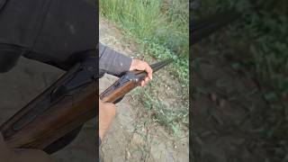 Double barrel shotgun shotgun hunting safetyfirst [upl. by Aihsenak]