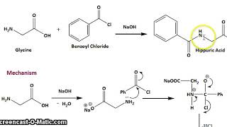 PREPARATION OF HIPPURIC ACID [upl. by Janenna]