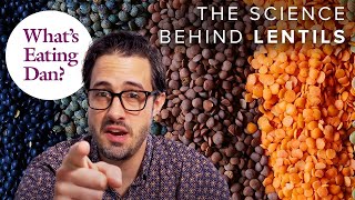 Why Lentils And Rice Are Scientifically Delicious Together  What’s Eating Dan [upl. by Lash]