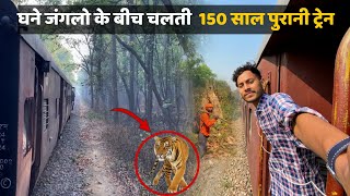 Journey through Dudhwa national park  Mailani to Nanpara meter gauge train Journey [upl. by Pettifer]