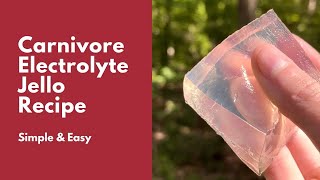 Carnivore Diet Electrolyte Jello Recipe [upl. by Yenttirb39]