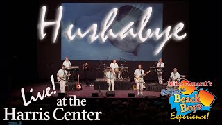 Hushabye Cover Performed by Mike Amarals California Beach Boys Experience [upl. by Flossy23]