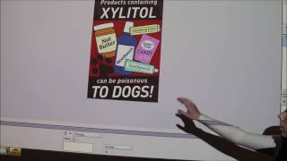 Lecture 6Principles of Toxicology and Antifreeze Chocolate Xylitol [upl. by Drauode]