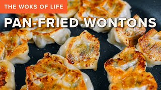 PanFried Wontons  Crispy and golden  An easy method to save old wontons [upl. by Lindholm366]