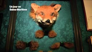 Sylvain Wavrant designer taxidermiste [upl. by Nirrak]