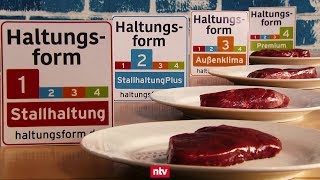 Tierhaltungskompass gibt Fleischkäufern Orientierung  ntv [upl. by Veejar708]